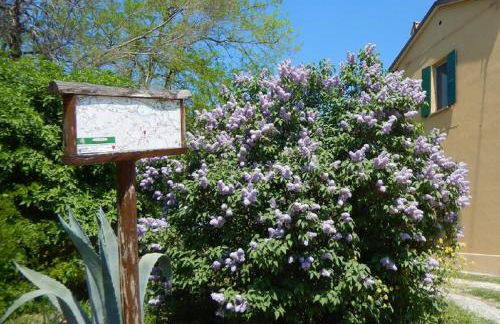 Casa delle ginestre - Foto 5