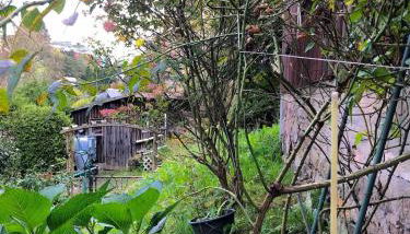 Kleines gemütliches Fachwerkhaus für vier Gäste - Foto 4, Garden view