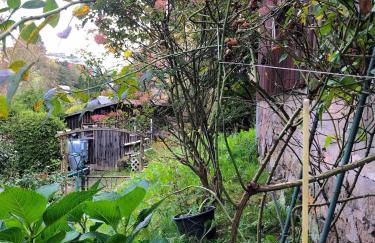 Kleines gemütliches Fachwerkhaus für vier Gäste - Foto 4