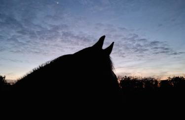 Le Ti'Cocoon Studio en Rez-de-Jardin - Foto 26