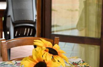 Agriturismo Fattoria Sant'Appiano - Foto 134