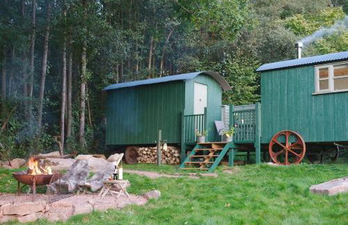 Anne's Hut Monmouthshire - Foto 12