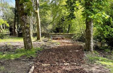 Dark Sky Retreat Perfect to Gather and Celebrate! - Foto 48