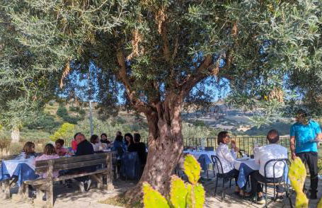 Agriturismo Giannavi - Foto 56