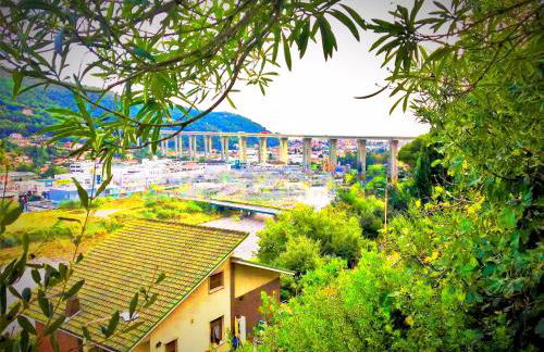 apartmento Olga - Photo 14