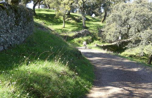 Agua de mayo - Foto 23