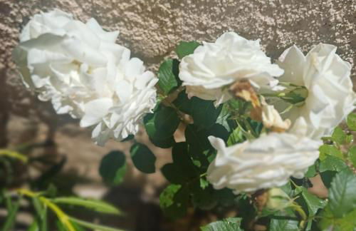 Studio cosy, terrasse, logement entier Aix-en-Provence - Foto 5