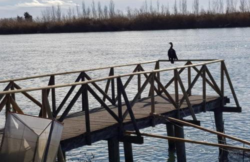 Les Mercès - Foto 25