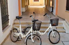 Old Harbour - Photo 17