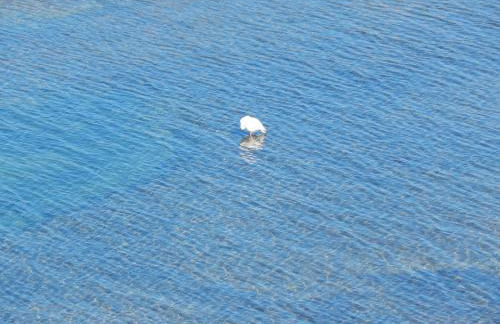 Casa Vacanze Karol - Photo 25