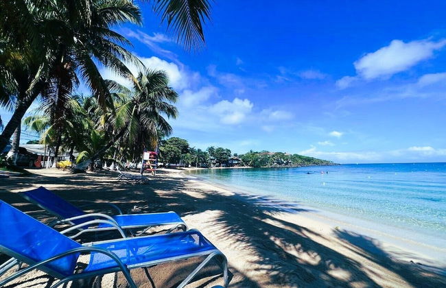 pent-house frente al mar - Foto 13