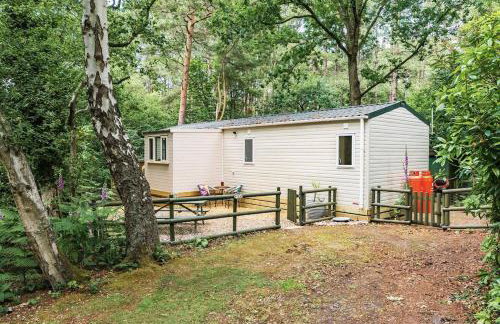 Tree Tops - Norfolk Cottage Agency - Photo 4