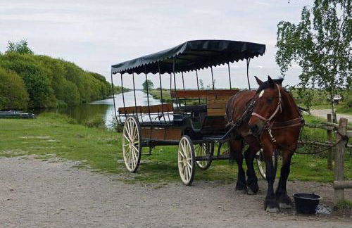 Petit appartement à la campagne proche mer - Foto 28