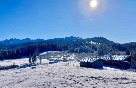 AlpenLodge Chiemsee - Photo 9