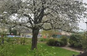 Ferienwohnung Vergissmeinnicht - Foto 6