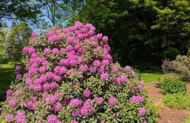 Maple Mountain Getaway - Foto 23