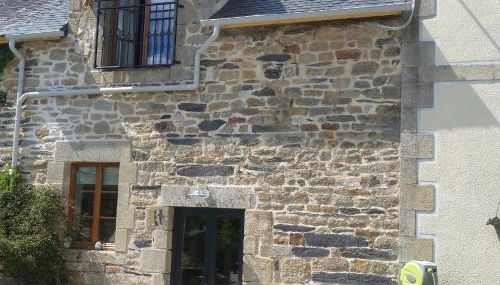 L'Effraie des Clochers - Foto 2