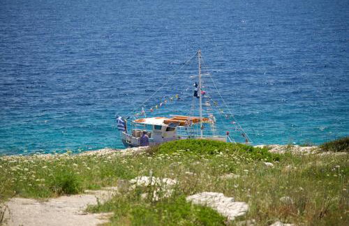 Thodoroulis - Foto 25