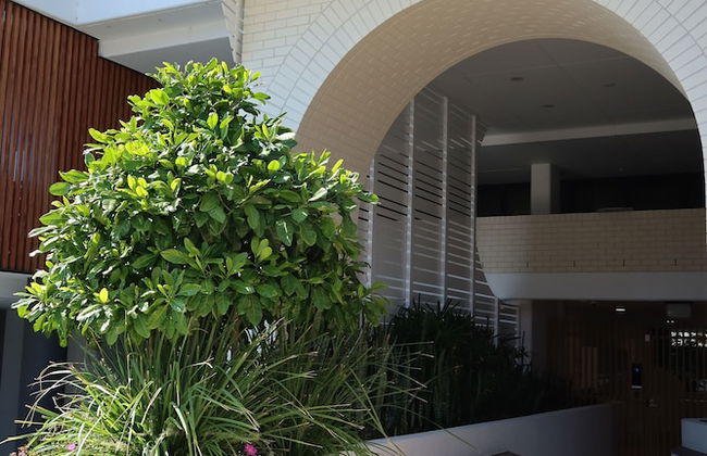 Luxury Palm Beach 1 BDR in The Village - Foto 33