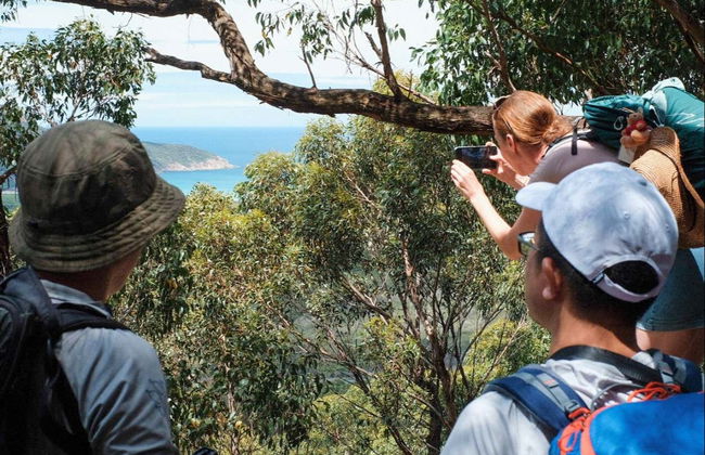 Randonnée dans le Parc National du Promontoire Wilsons - Photo 8