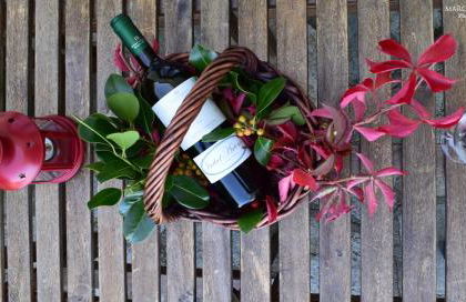 Isabel Artemis - Foto 58