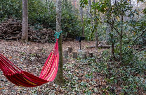 Creekside Guest House Mountains & Relax to the soothing sound of the creek - Foto 50