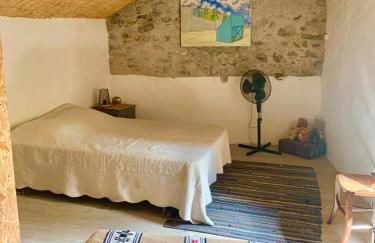 Grande maison cévenole authentique - Foto 40