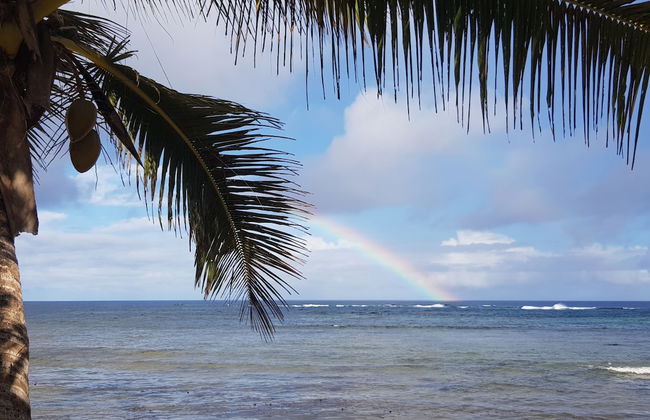 Fiji Lodge Vosa Ni Ua - Photo 32