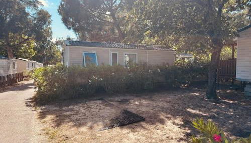 Cap Ferret Mobile Home Arcachon Bay View - Foto 2
