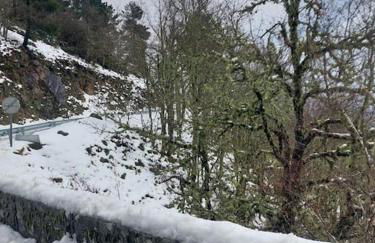 Lugar da Borralheira - Foto 51