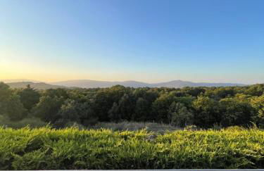 Chalet Vista Etna - Foto 18