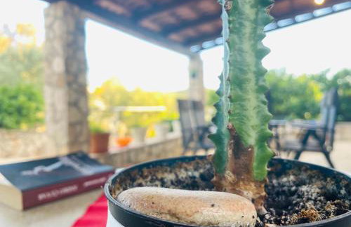 Apartmani Roxy - Foto 41