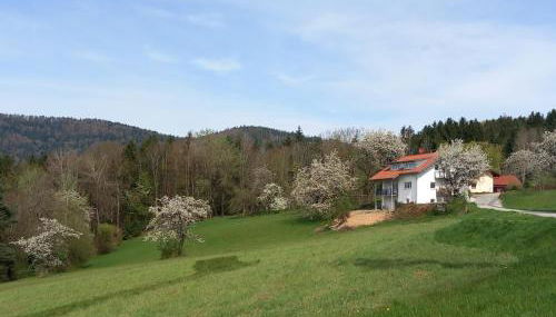 Haus Panorama - Foto 2