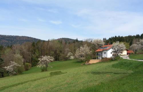 Haus Panorama - Foto 2