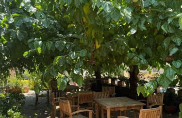 El Fort d'Ullastret - Foto 36