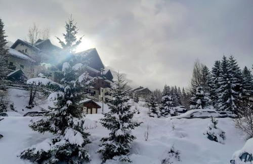 Magnifique studio au pied du télécabine d'Arrondaz et des pistes de ski - Foto 4