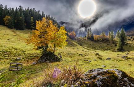 Ferienwohnungen Schwarzer in Seehausen am Staffelsee - Foto 19