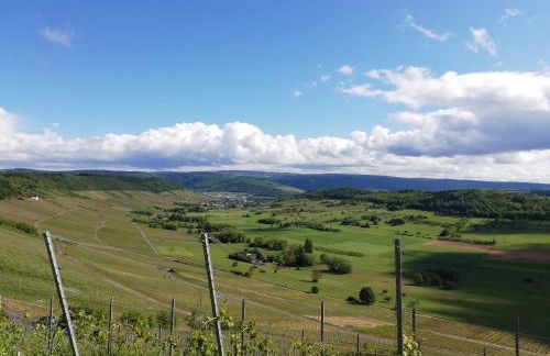 Ferienwohnung Panoramablick - Foto 29