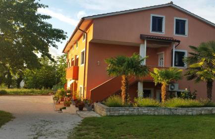 Apartments Davor - Photo 16