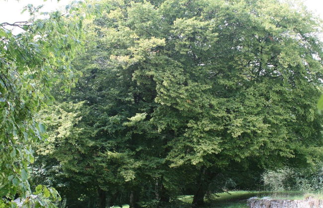 Eco Hilltop Home in Falaen - Foto 30