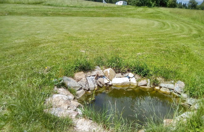 Garden & Pets Escape - Photo 27