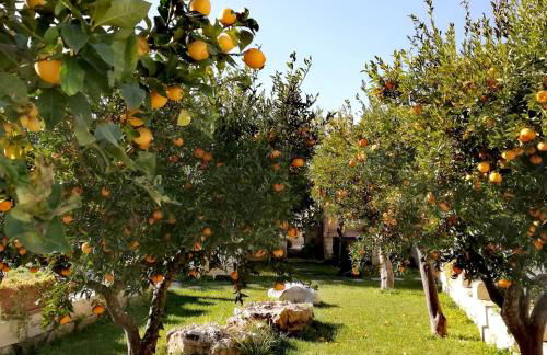 CH Guest House - Foto 10