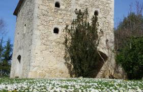 Domaine de la Brette - Photo 41