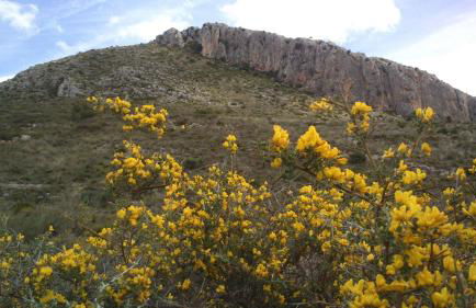 Casa Esperanza - Foto 28