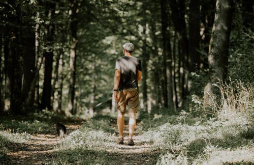 TATANKA Dom w Puszczy & SPA na Polanie - Foto 52