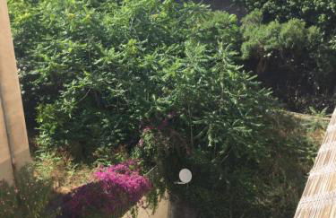 Casa Aurora - Foto 1