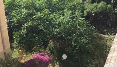 Casa Aurora - Foto 1, Garden view