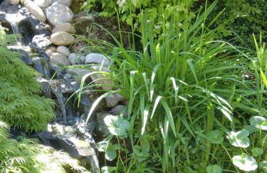 Ferienwohnung am Kneipp-Park - Foto 14