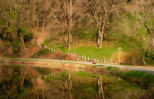 Côté Vignes - Foto 19