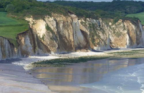 Le Manège - Foto 13